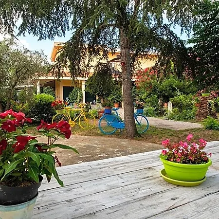 Da Marcella Bed & Breakfast Oristano