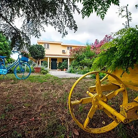 Bed & Breakfast Da Marcella Oristano