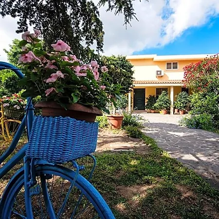 Da Marcella 3*