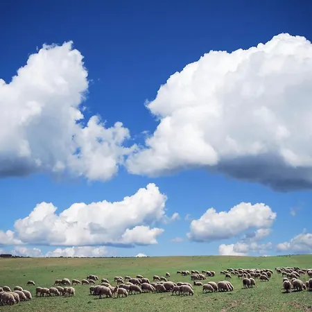 Couette-café Da Marcella