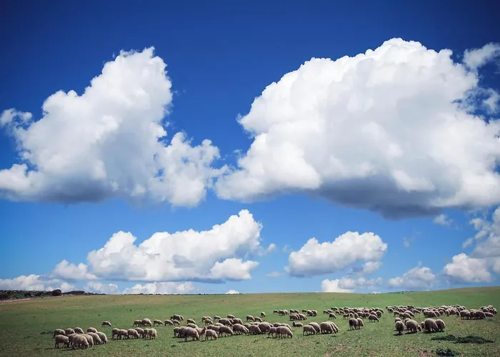 Bed and breakfast Da Marcella